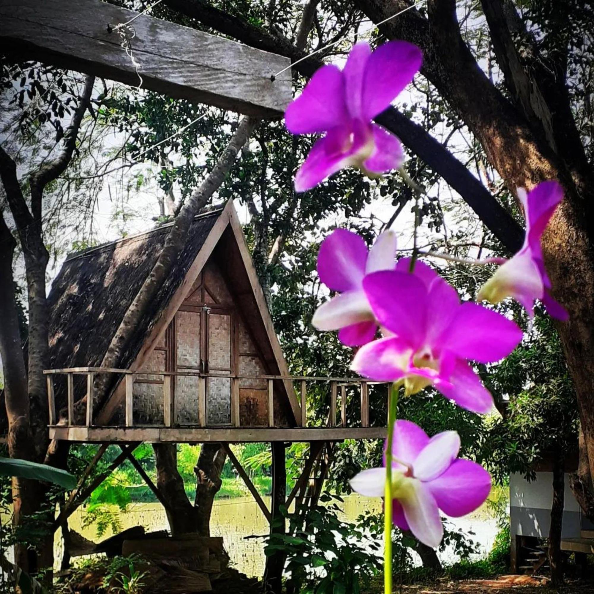 Fandee Island Treehouses & Ziplines - Tad Lo, Bolaven Loop Pakse Ban Kiangtat Exteriér fotografie
